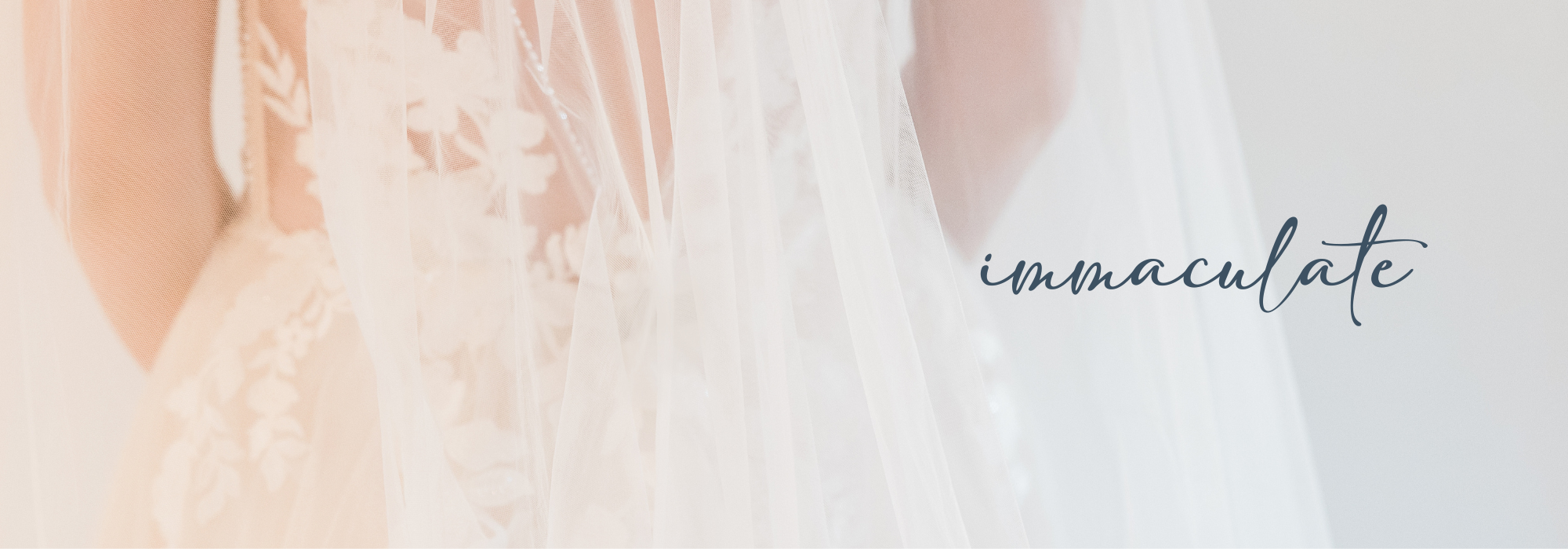 uplclose photo of a wedding dress with a wedding veil